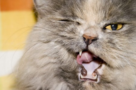 ���� ���������� :)