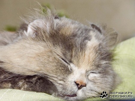 ���� ���������� :)