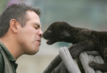 ������� ������� �� ����� ��������