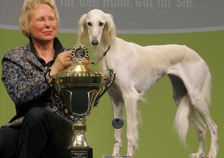 ������ �� ������!