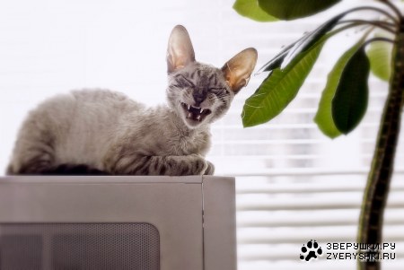 ��������� ��� ���������� �� ��� ������! :)