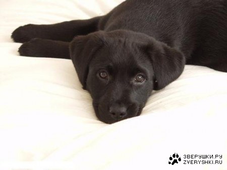 ׸���� �� ����� ;)