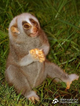 ������������ ������ :)