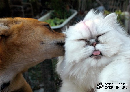 ����� ���� ������� :)