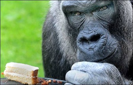 ������� ������� �� ����� ��������