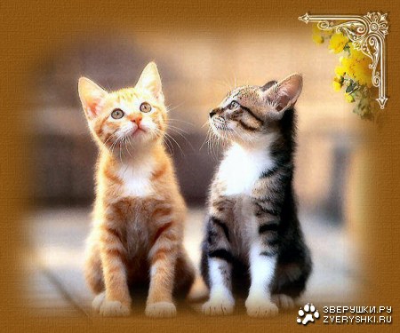 ��� ����� ������ ������� :)