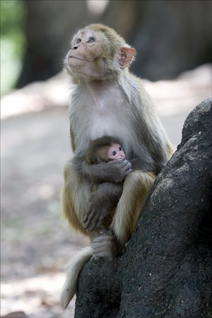 �������� �� ������ �������� (5 ����������)