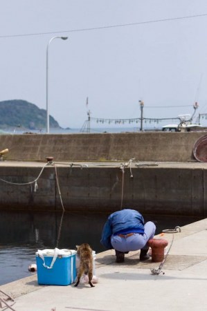 �������� ������� :)