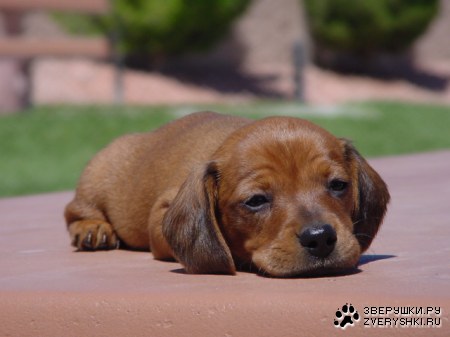 �������� ������...