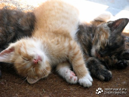 �������� ��� ������! ;)