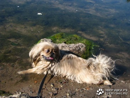 �������