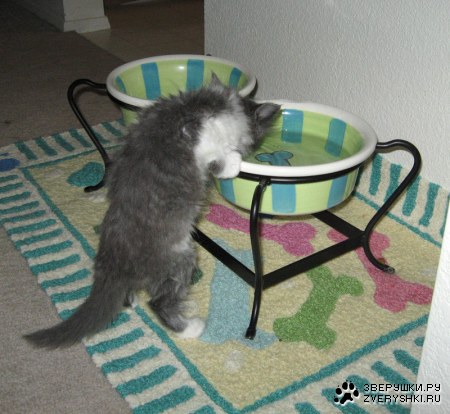 ����� �� ������ :)