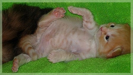 ��������� ������ �� ��������� ������