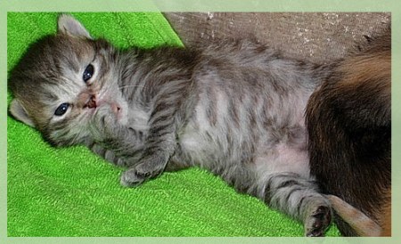 ��������� ������ �� ��������� ������