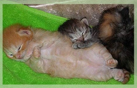 ��������� ������ �� ��������� ������