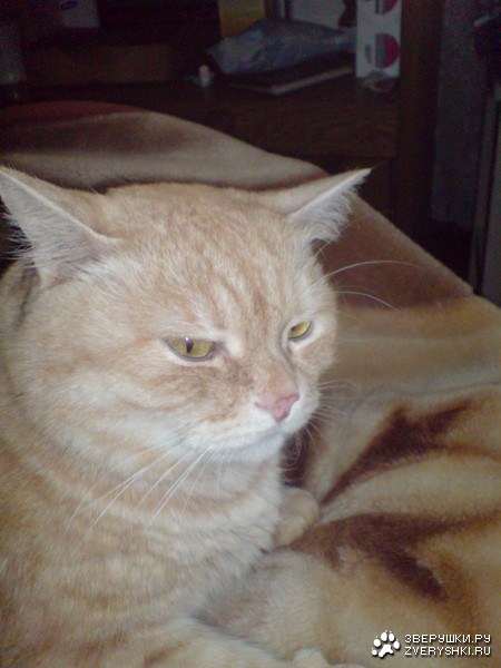 � ����� ��� ����� :)