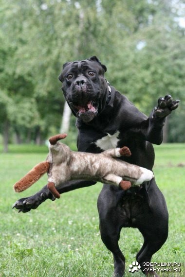 �������� ���� :)