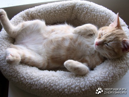 ����������� �� ������ ;)