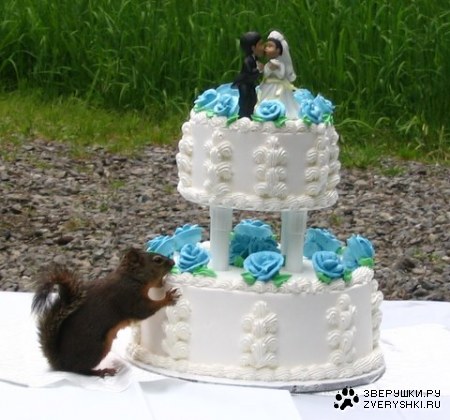 �����������! :)