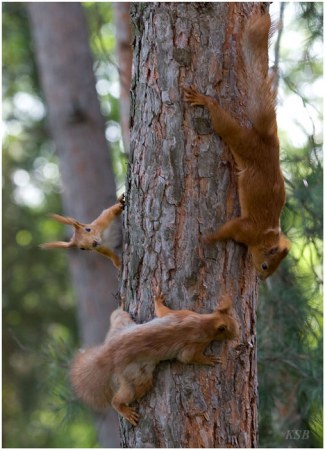 ���� ����� :)