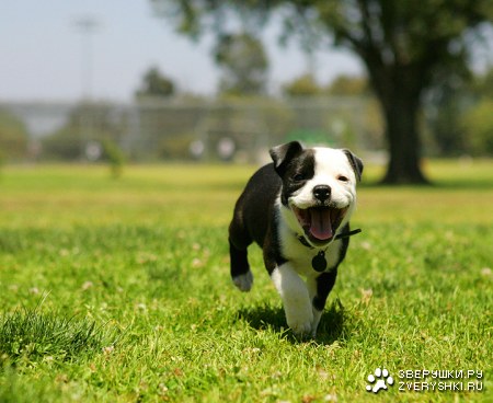 ��������� ��� ������ � ��������� ����������!