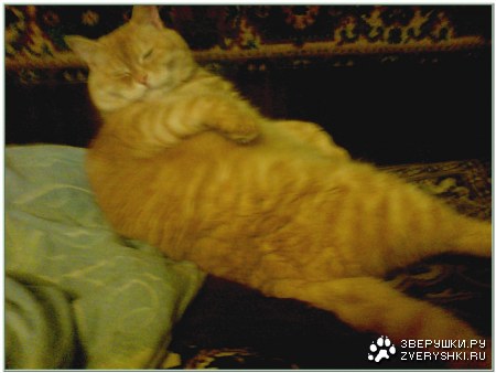 � ����� ��� ����� :)