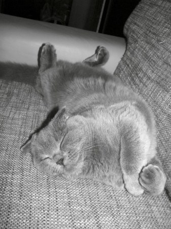 �������� ���� ��� ��� :)