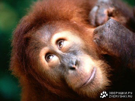 �������... ;)