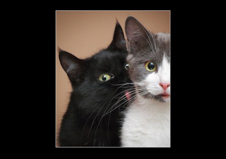 ������� ������������ ;)