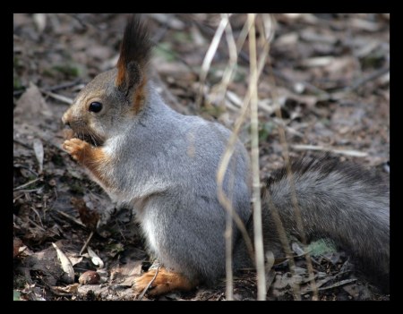 ���������� ������� :)