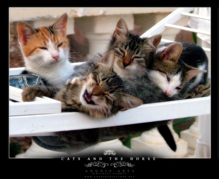 �������� �������� (7 ����)