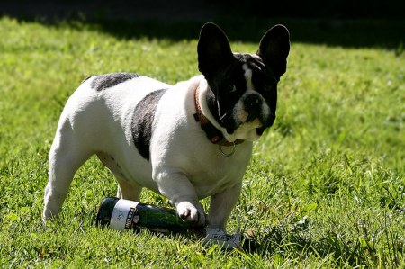 �������� ����������� :)