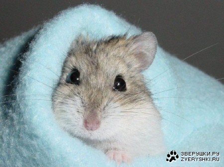 ������� ��� ��������! ;)