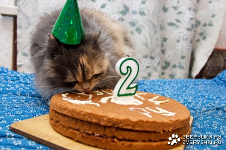 ���� ��������! :)