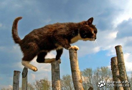 ����� ���������� ���������� :)