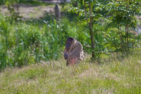 ������ � �������� (5 ����)