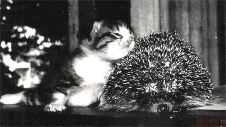 � ���� ����� ����� :)