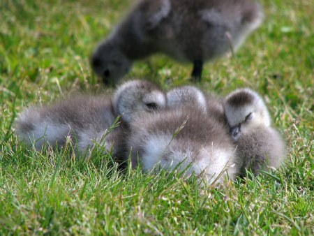 ����� ������� :)