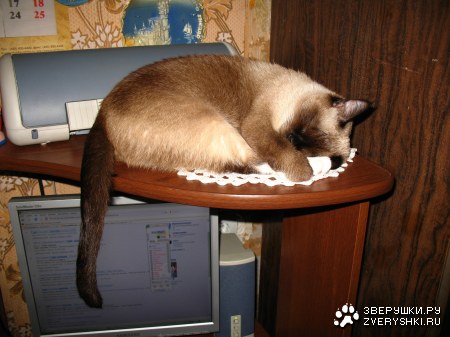 C����� ���� :)