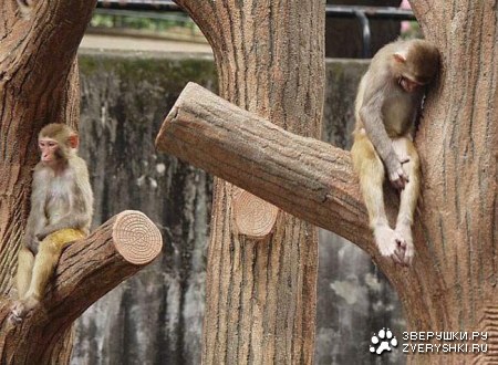 � � ����� ������ �� ����� :(