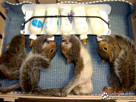 ���������� ���� ;)