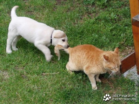 ��������� ��������� :)