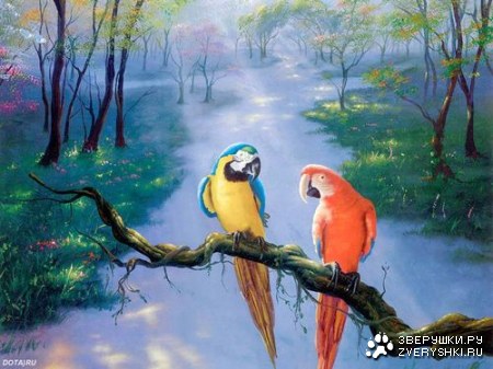 ������� ����� :)