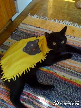 ������� ����! :)