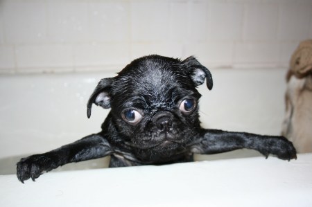 ������� - ����� ��������! ;)