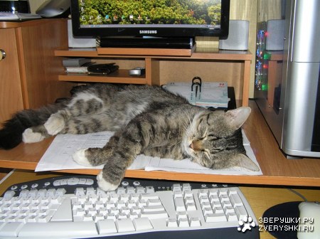 �����, ������, �������� ;)