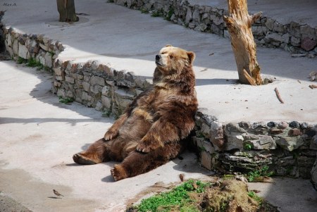 ���� �������� ;)