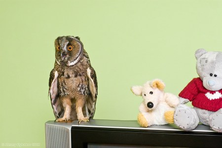 �������� ���� :)