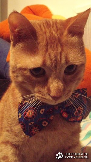 ��������� ���������� :)