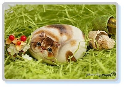 �������� ��������� ������ (16 ����)